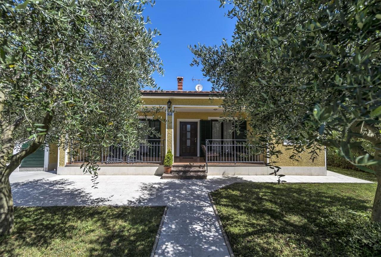 Spacious Three-Bedroom Villa Balun With Pool Poreč Eksteriør bilde